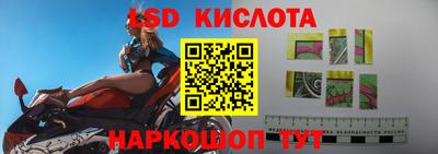 шишки Лесосибирск