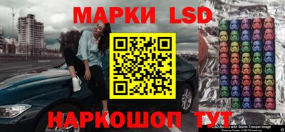 шишки Лесосибирск