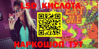 шишки Лесосибирск