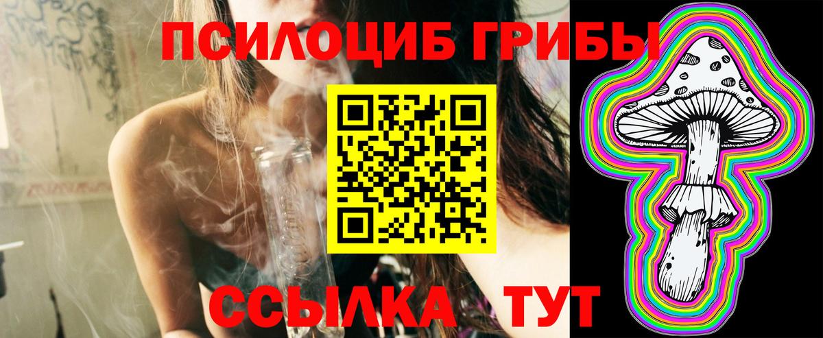 Всеволожск  Галлюциногенные грибы GOLDEN TEACHER  Вход с VPN 